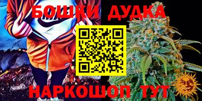 гашишное масло Будённовск
