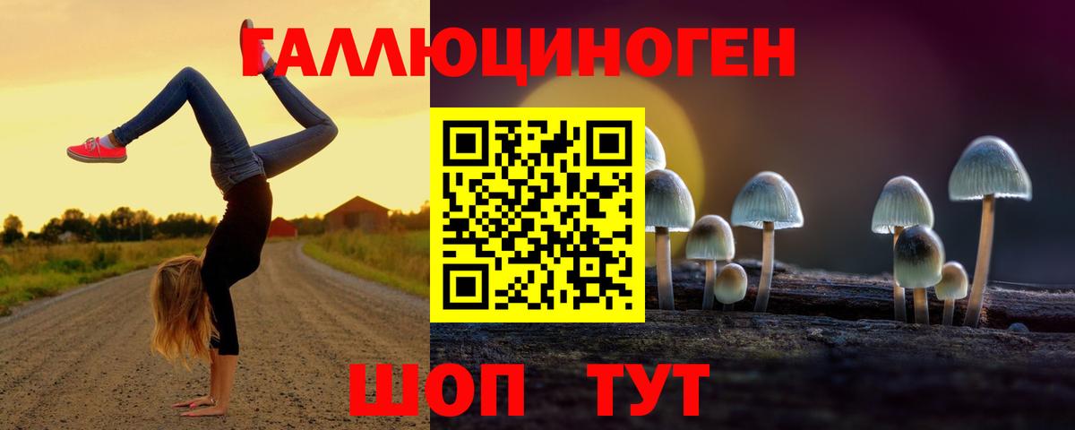 Реж  Псилоцибиновые грибы ЛСД  Галлюциногенные грибы мухоморы  Вход с VPN 